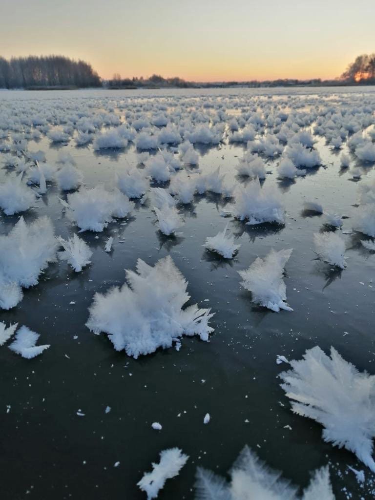 Ледятные цветы.jpg